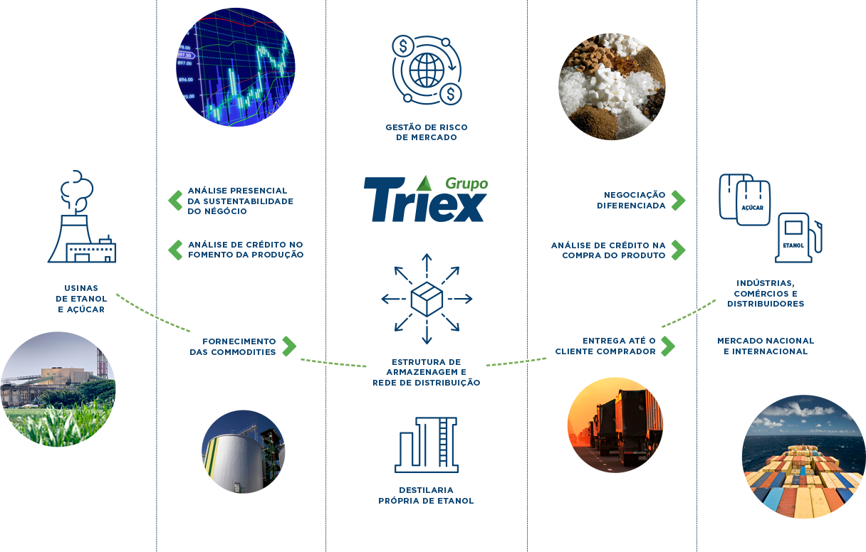 Infográfico