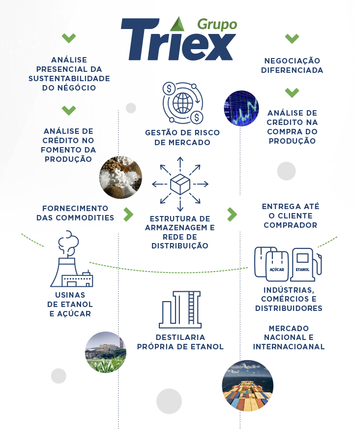 Infográfico